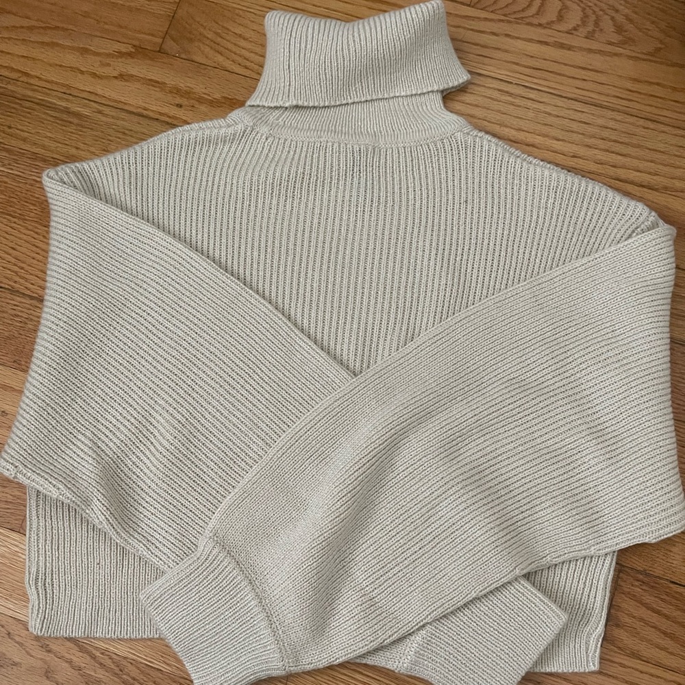 H&M Turtleneck Sweater